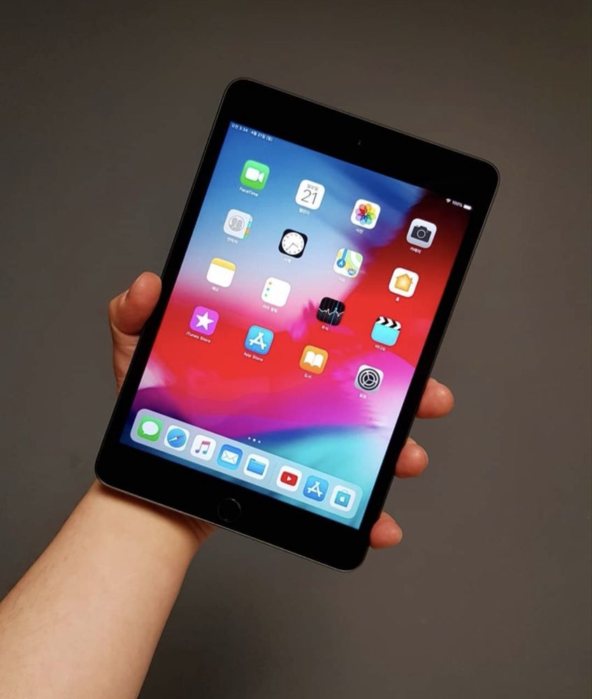 IPad Mini 5 256 Gb Space Gray
