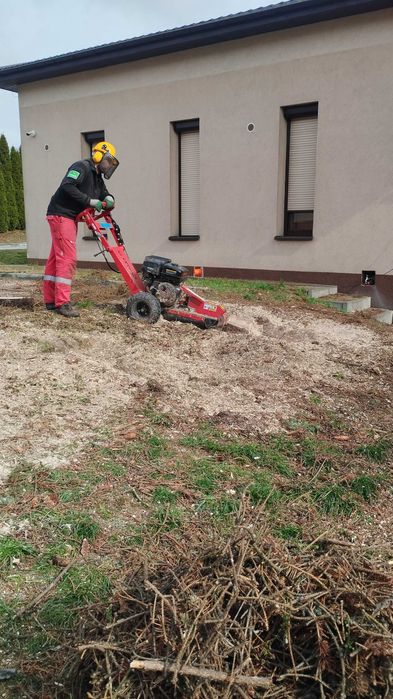 Frezowanie pni - szybko, skutecznie i estetycznie!