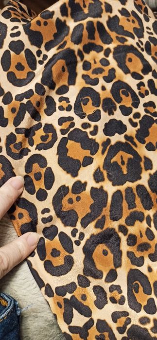 Sg Spodnie damskie 36 , S  H&M spodnie w panterkę na gumce  36 , S