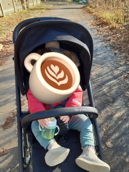 Wózek spacerowy cybex