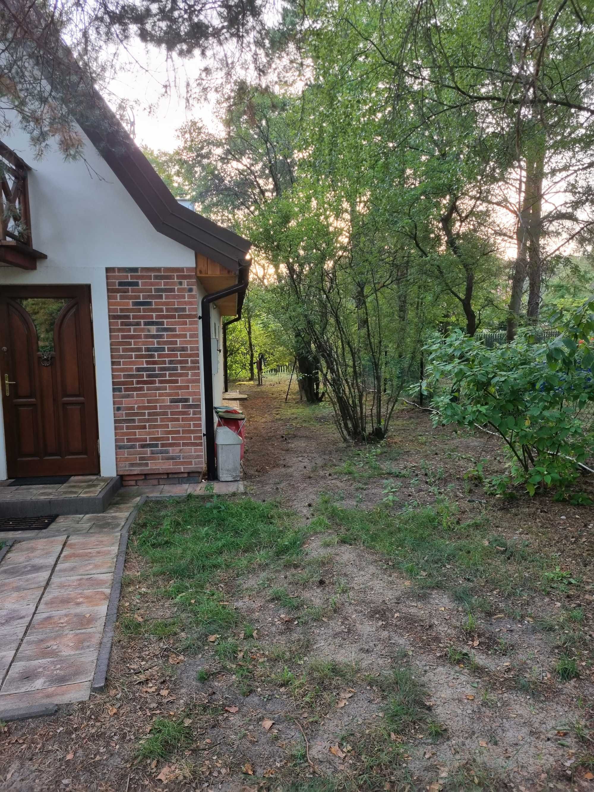 Wakacyjne noce las i widok gwiazd. Modrzewiowy domek nad Wkrą zaprasza