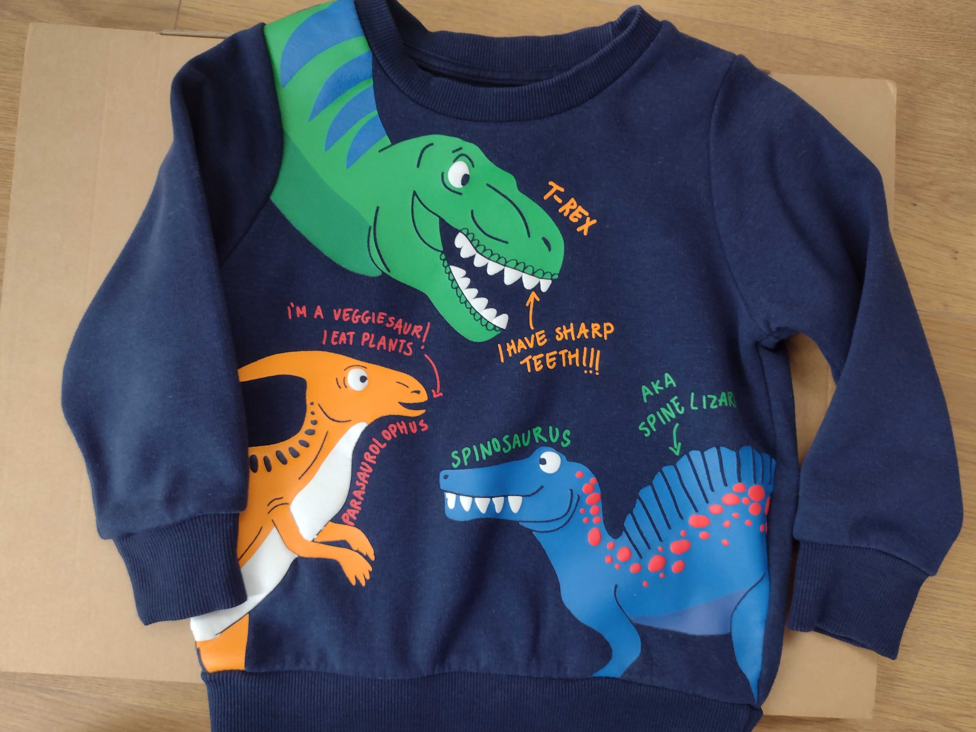 Bluza dla dziecka z kolorowymi dinozaurami rozm 98