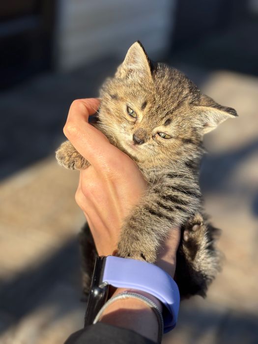 хлопчик 2 місяці