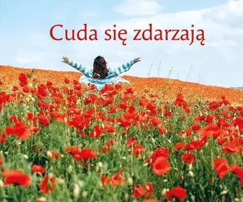 Perełka 323 - Cuda się zdarzają. Edycja Świętego Pawła. Nowy Produkt