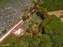 Terreno para construção a 3km da Baía de São Martinho do Porto