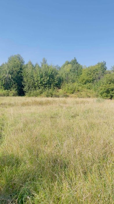 Продаж земельної ділянки в Карпатах, Косівщина