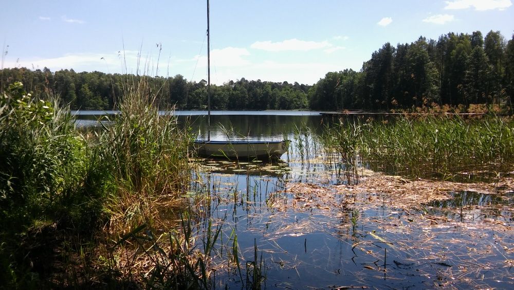 domek , mieszkanie , dla parcowników 9 km od Złotowa