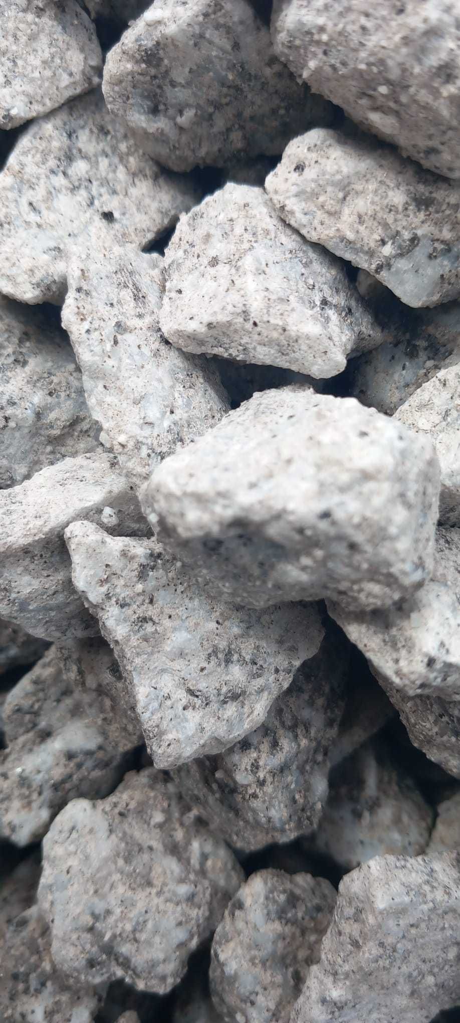 Grys Dalmatyńczyk kamienie ozdobne do ogrodu