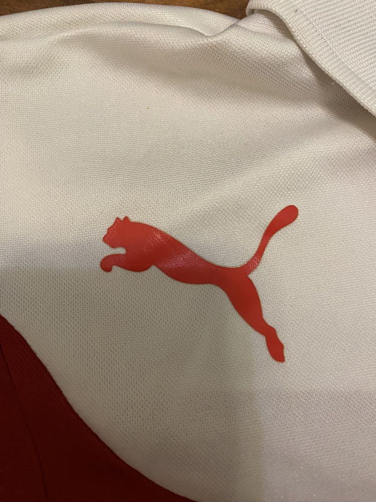 Футболка Puma puma