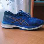 Asics Gel-Cumulus 19