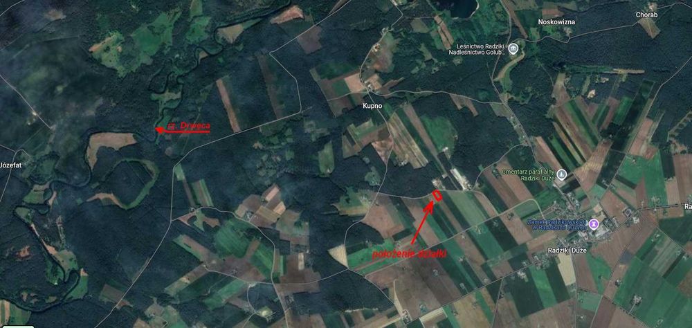 Działka budowlana Radziki Duże przy lesie