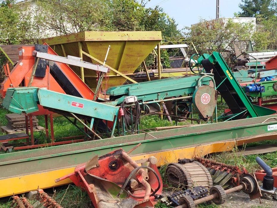 Sortownik do ziemniaków lub cebuli