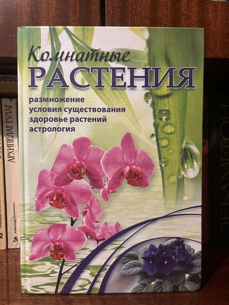 Книга комнатные растения