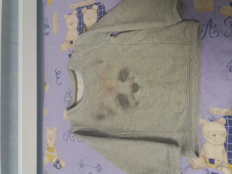 реглан ZARA девочка