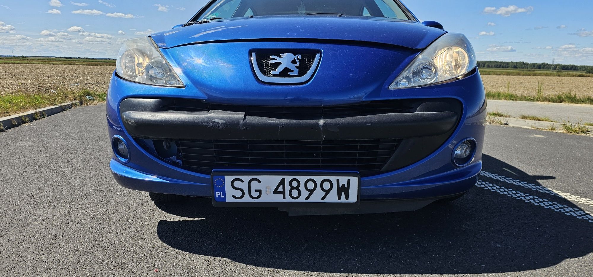 Peugeot 206+ 2009r 1.4 75km - po kolizji z dzikiem