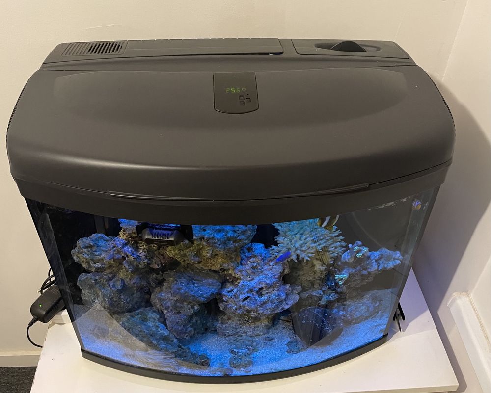 Akwarium morskie ReefMax 105l Aquael Rybki żywa skała