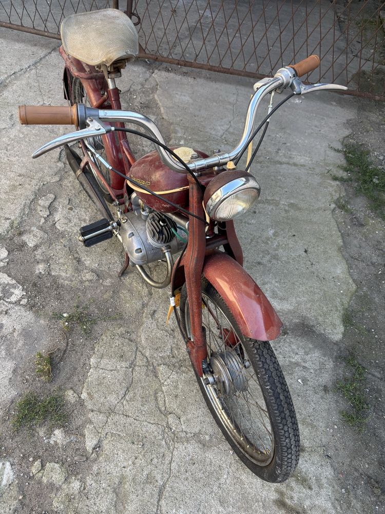Komar 231 w oryginale