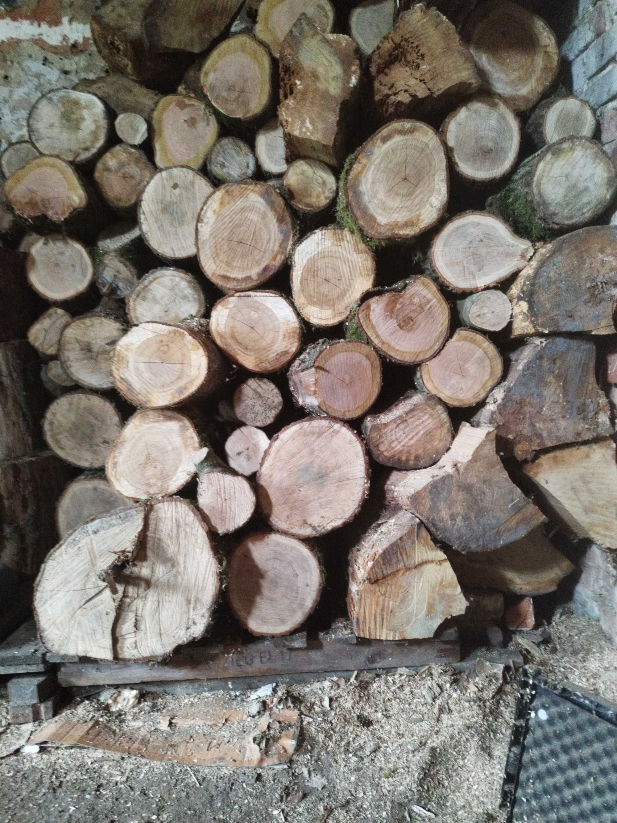 drewno lisciaste