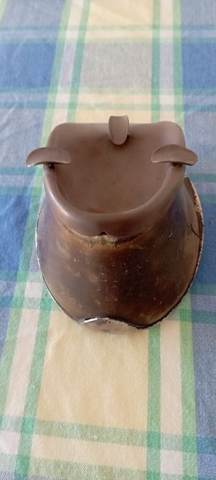 Cinzeiro em casco de cavalo