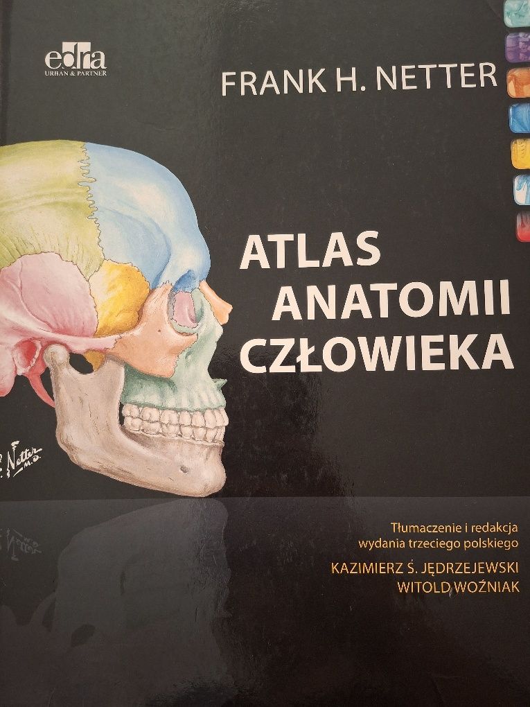 Atlas anatomii człowieka
