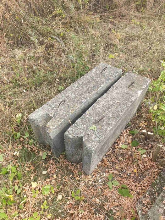 Продам плити залізо бетонні пешки
Розмір :6.0-1.5 
18 штук стан новий