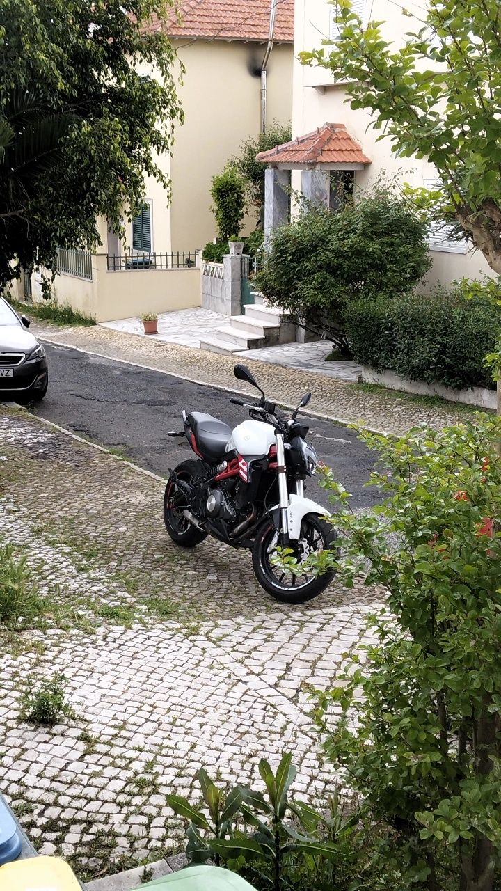Benelli 302s (2021)