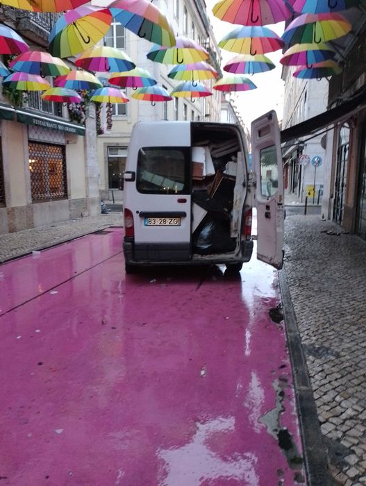 Expresso/ recolhas