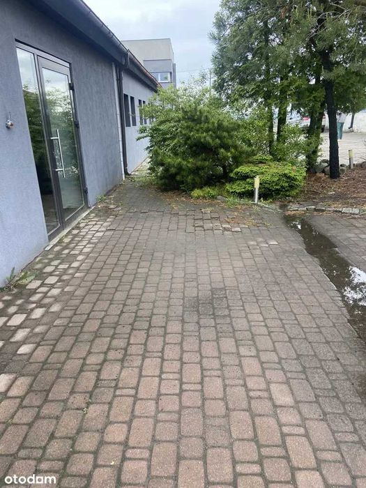 Hala Magazyn Biuro na wynajem TCZEW