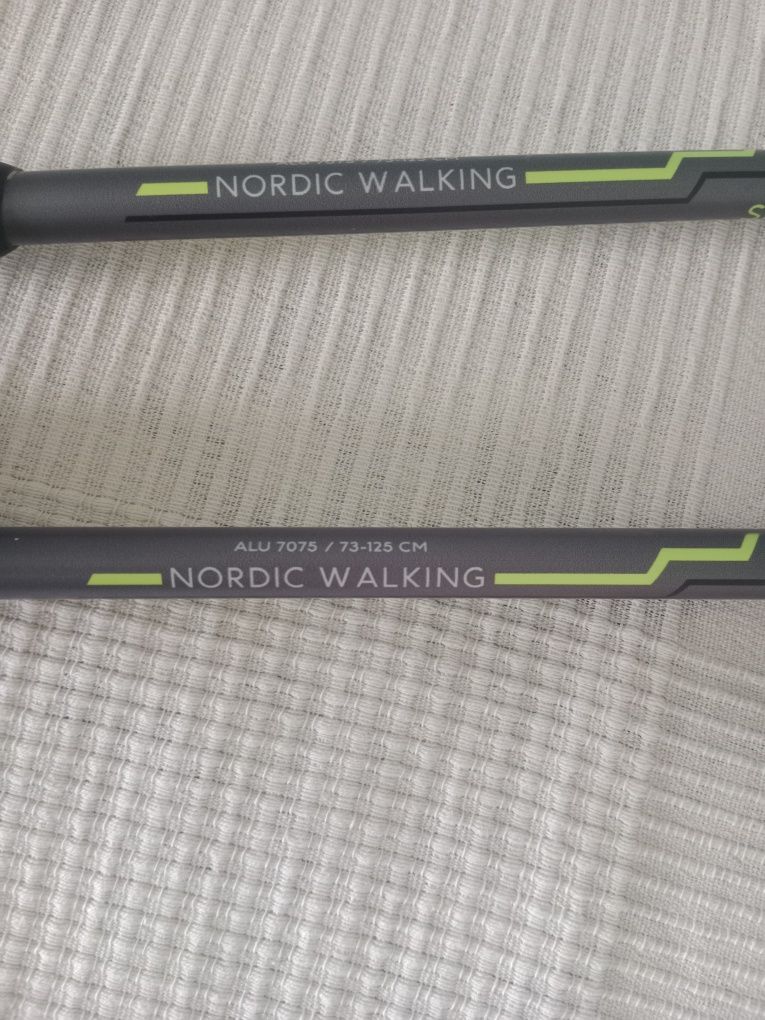 Kije do Nordic Walking Fizan