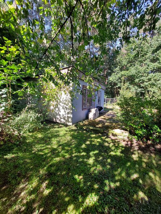 DZIAŁKA Zielona Góra ROD Słowackiego Przylesie