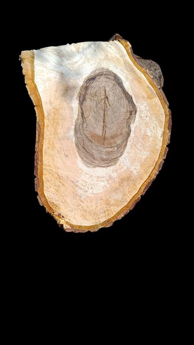 Plastry orzecha włoskiego.