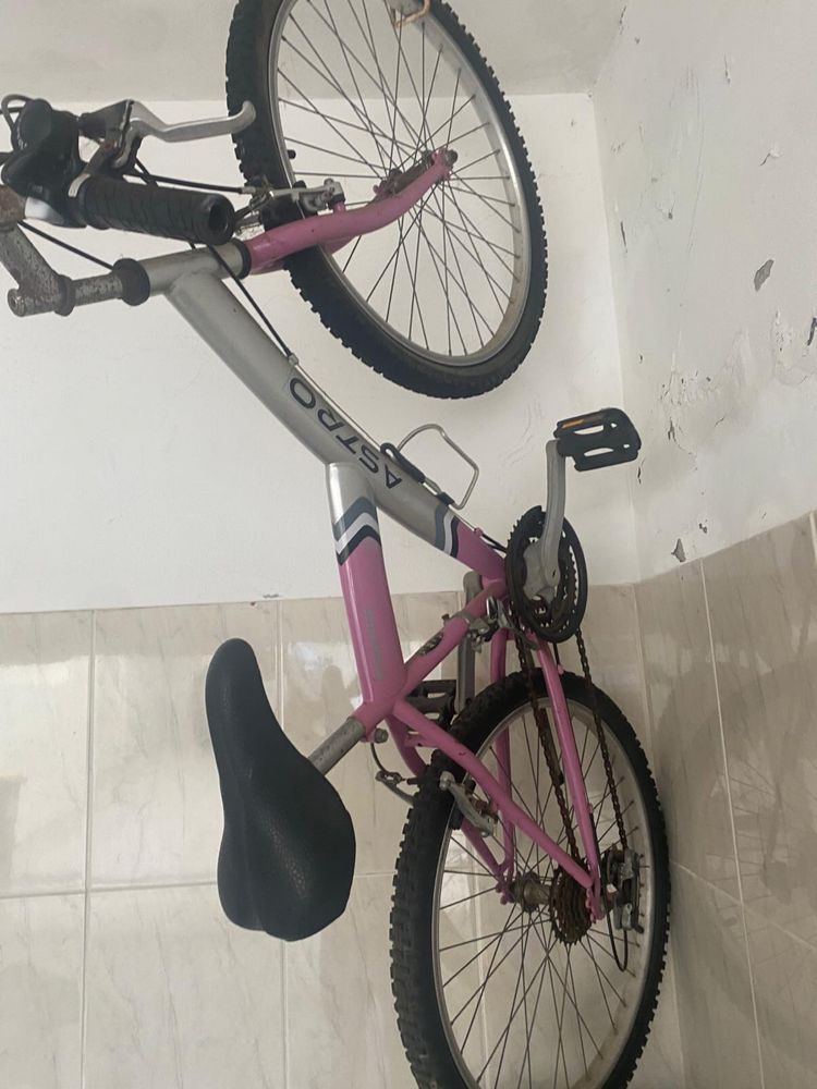 Bicicleta - Bicicletas Coelho