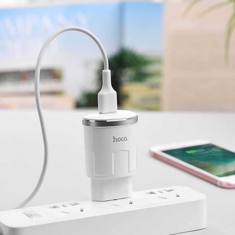Мережевий зарядний пристрій Hoco C37A Thunder + micro-USB Cable White