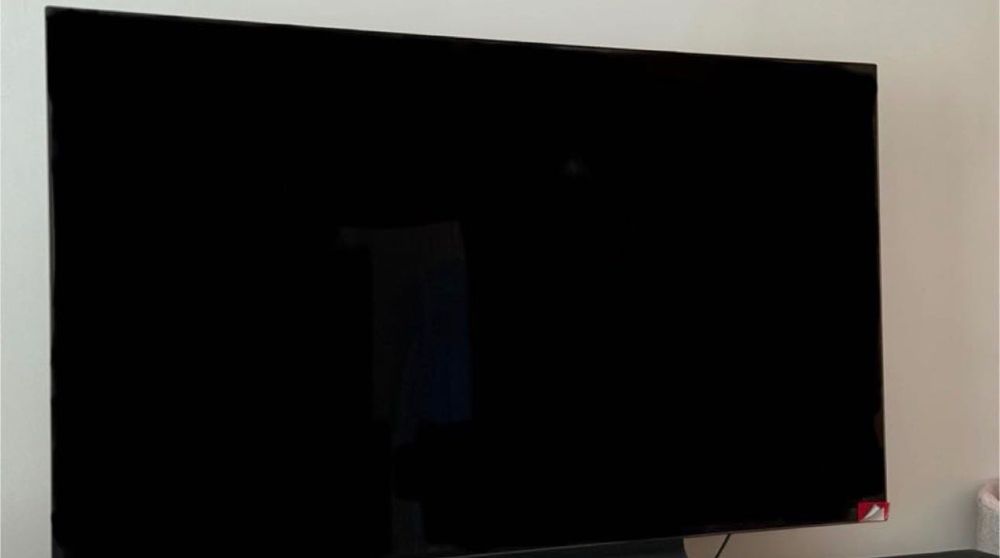 LG OLED 55” 120hz OLED55B13LA tv monitor gamerski