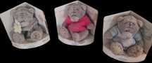 Ursinhos peluche
