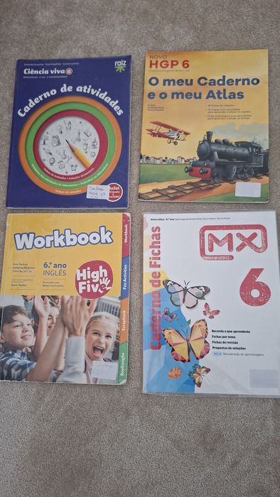 Cadernos de actividades do 6 ano