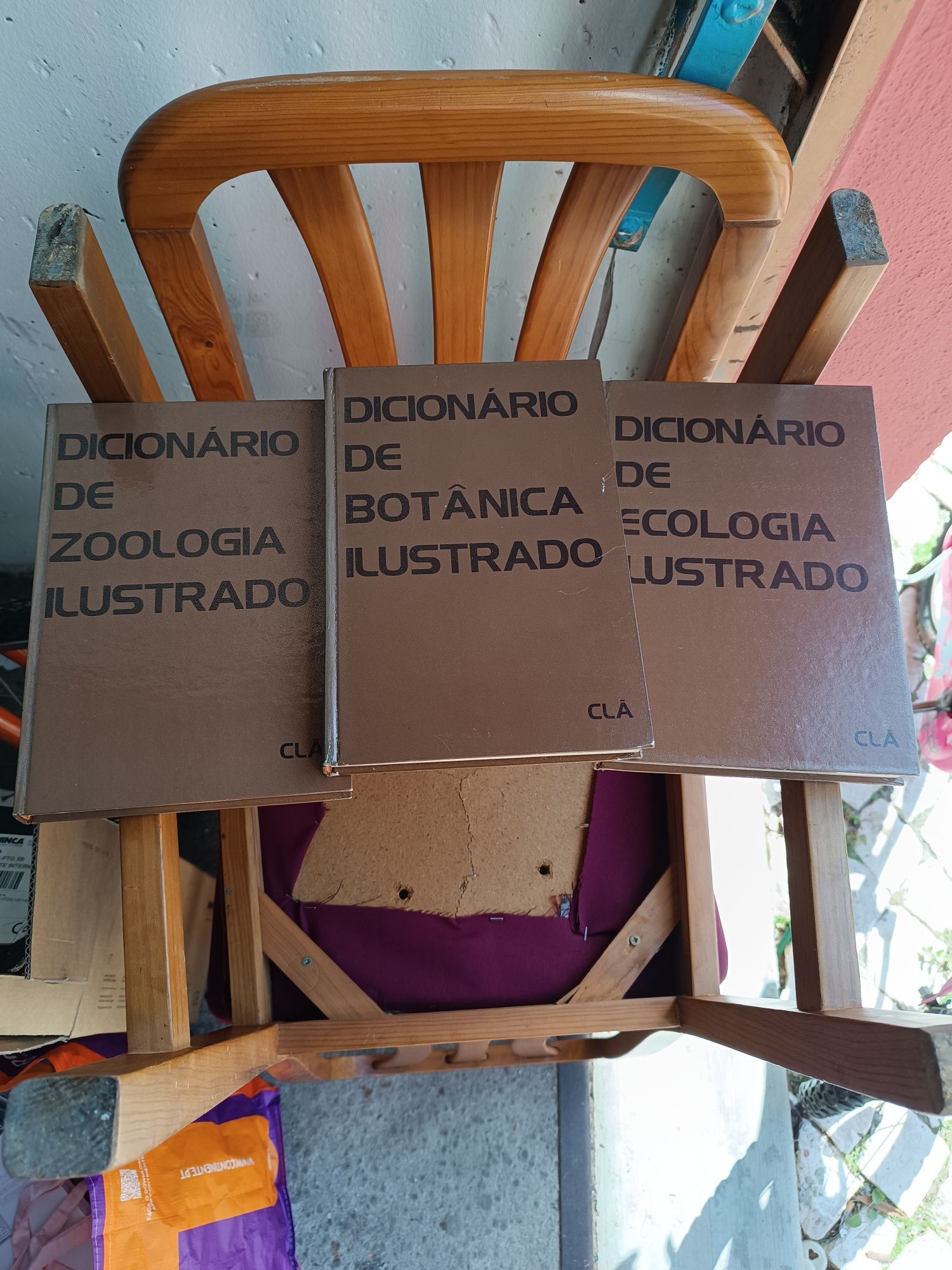 Dicionários de estudo