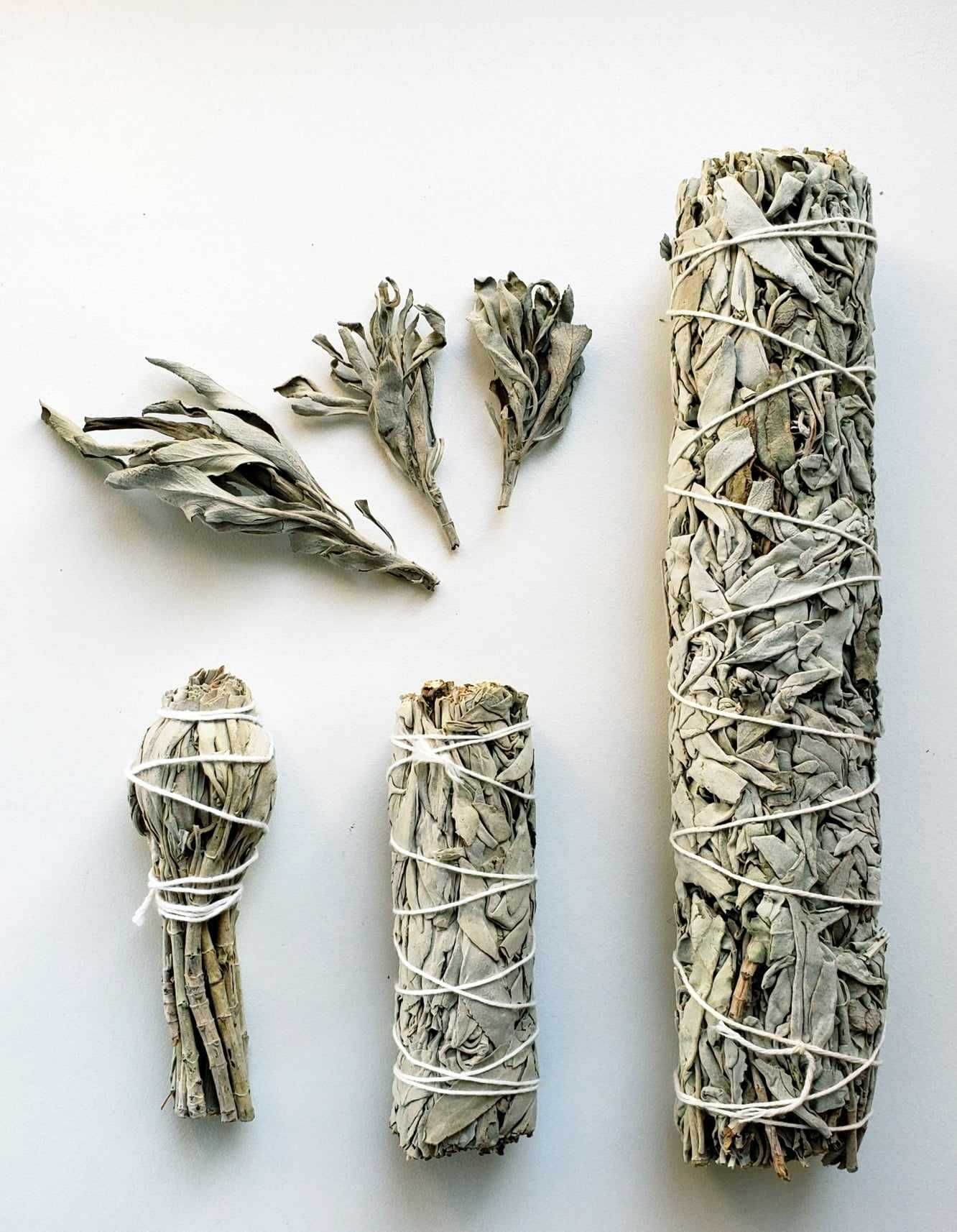 White Sage Біла Шавлія Белый Шалфей АКЦИЯ