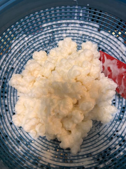 Troco kefir por 1 pacote leite meio gordo