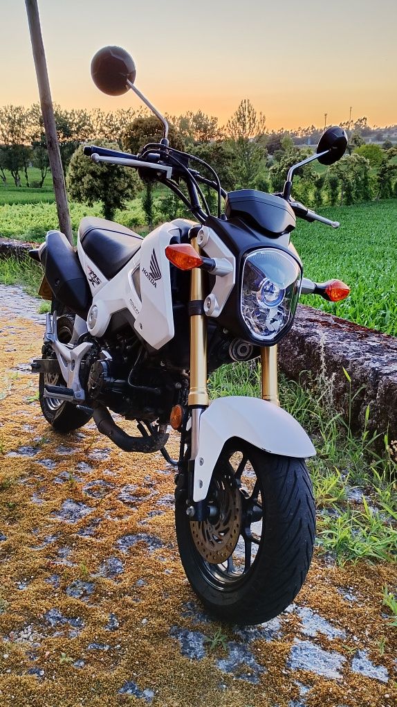 Honda msx 125 original