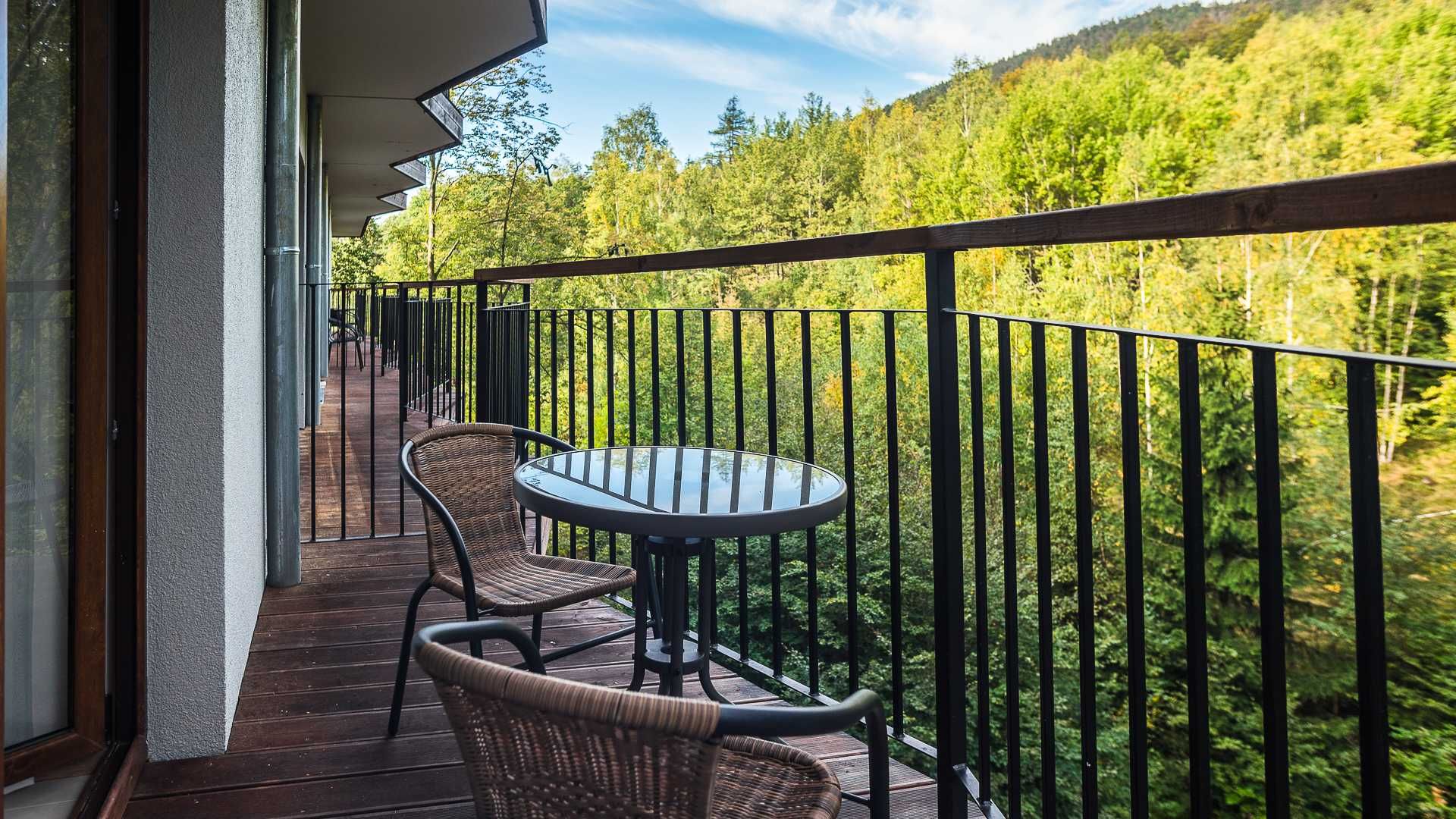 Apartament 4-os. z widokiem na las i góry, Górna 19