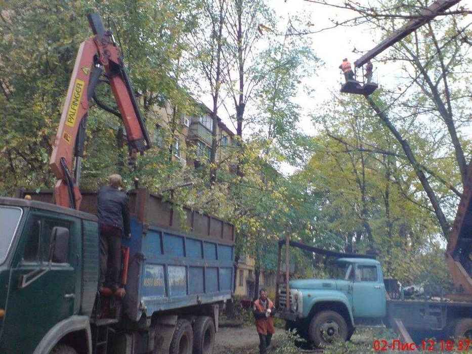 Вивезення смітя, розчистка територій, обрізка дерев