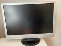 Duzy Monitor Nec