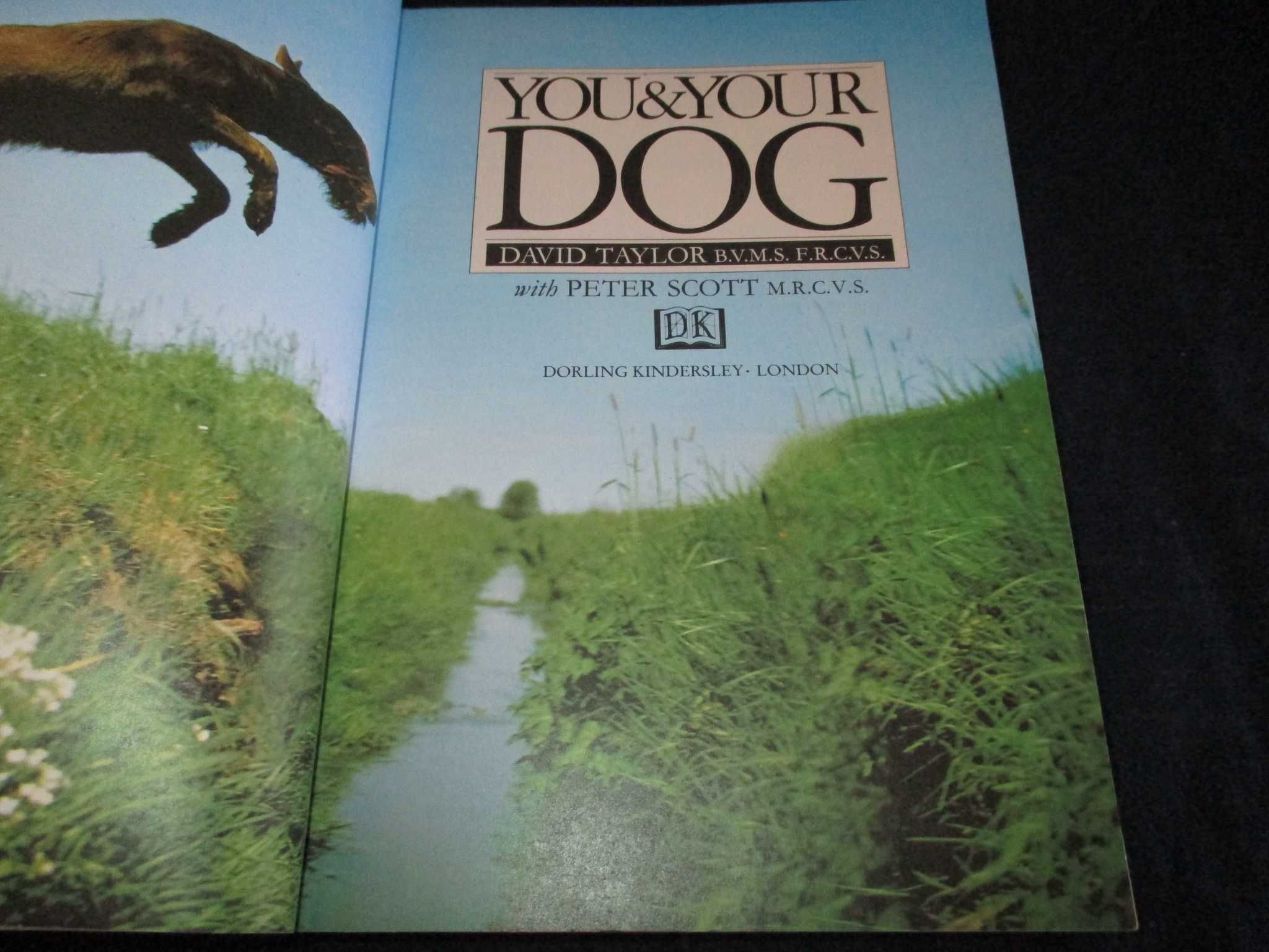 Livro You & Your Dog David Taylor