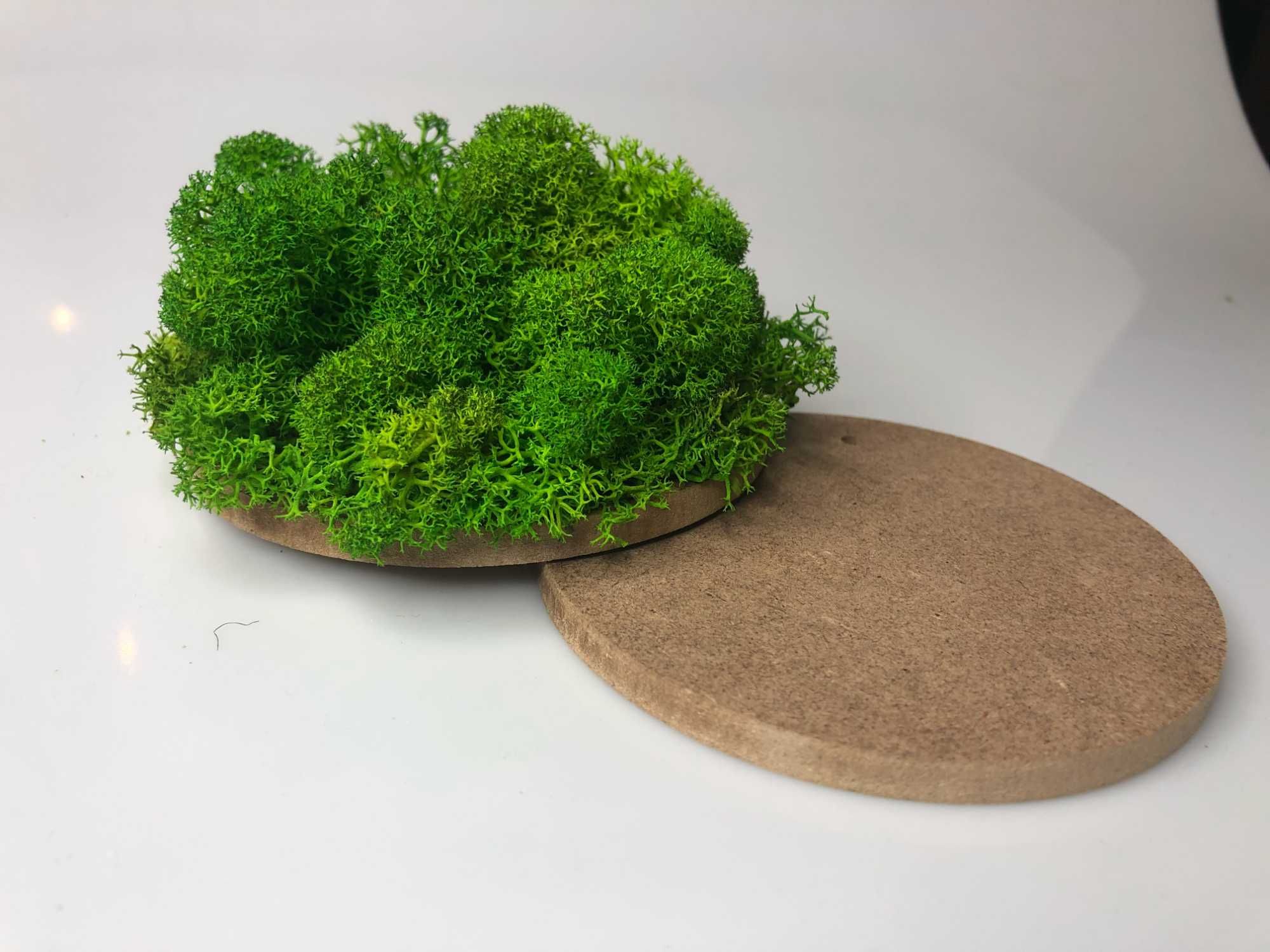 3 x Dekoracja z mchu średnica 10 cm
