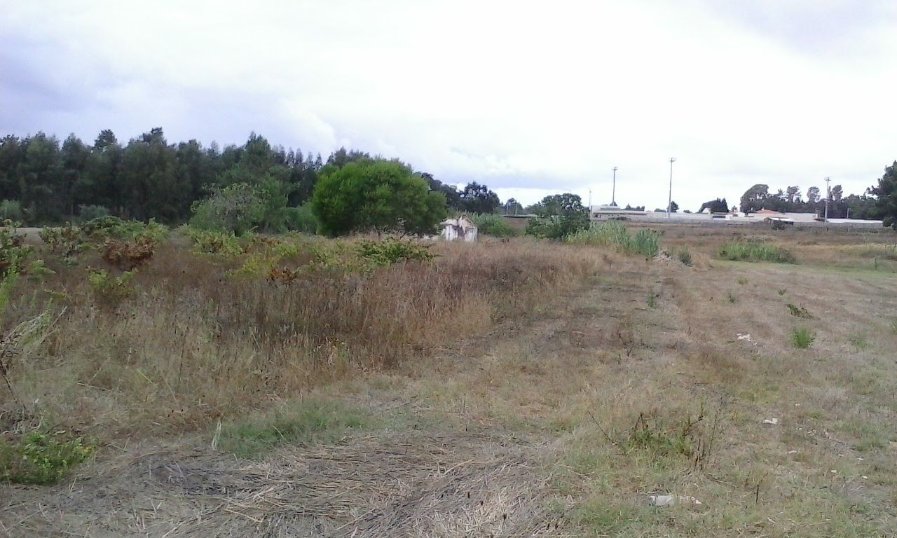 5000 m2 quinta Terreno com ruína troca ou permuta