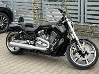 Harley Vrod muscle 5HD