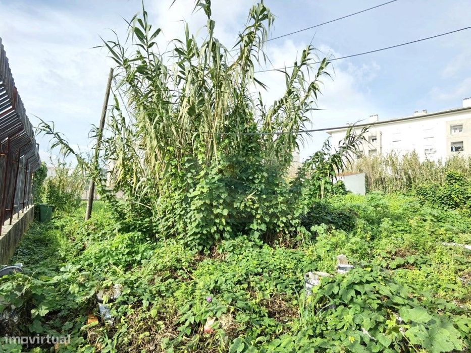 Terreno com 2.000,00m2 para venda junto ao Polo Universitário da Ajuda