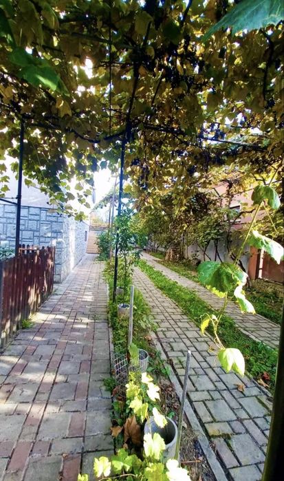 Кімната в будинку , Ужгород, с. Минай