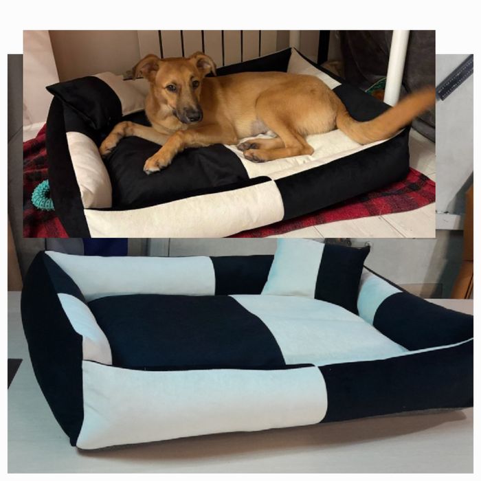 Лежанки для собак і котів